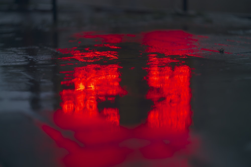 Red Wallpapers Free Hd Download 500 Hq Unsplash